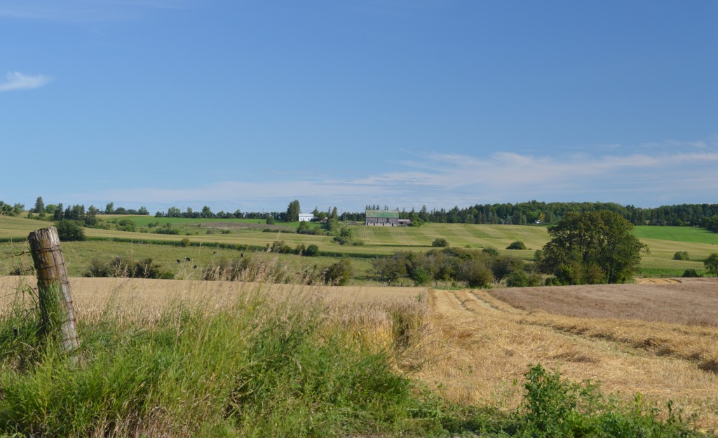 typical farmland west of Highway #400